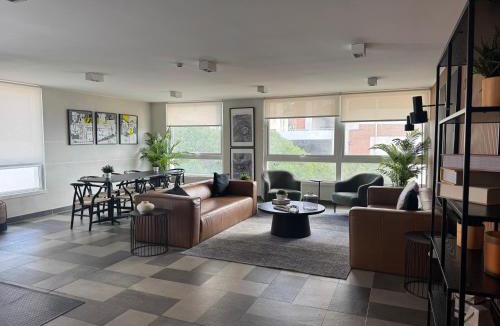 Vina del Mar Apartment | Viña del Mar Apartment - Festival de Viña