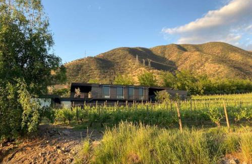 San Francisco de Mostazal Bed & Breakfast | Viña LOF - Maipo Valley Bed & Breakfast in Winery