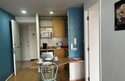 Downtown Santiago Apartment | Warm 1 bedroom apt. 1 bedroom apartment half a block from Sta. lucia subway station.