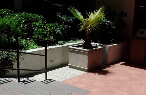 Santiago Apartment | Welcome to Eileen's , nice and cozy place in Las Condes Santiago Chile