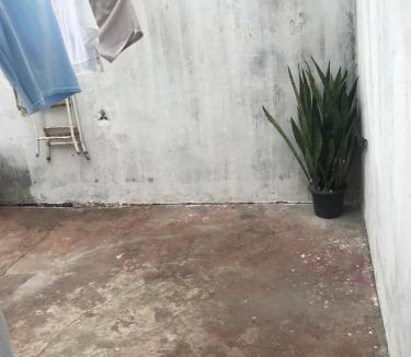 Sao Luis Other | Wesley