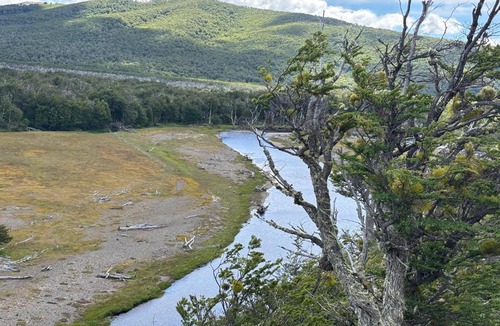 Natales Cabin | Windy River Ecolodge
