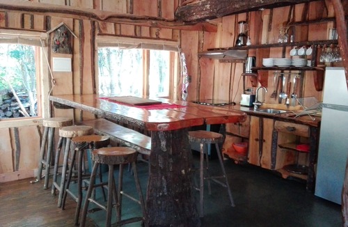 Pucon House | Wonderful rustic cabin, with native trees, with Rio Trancura, equipped