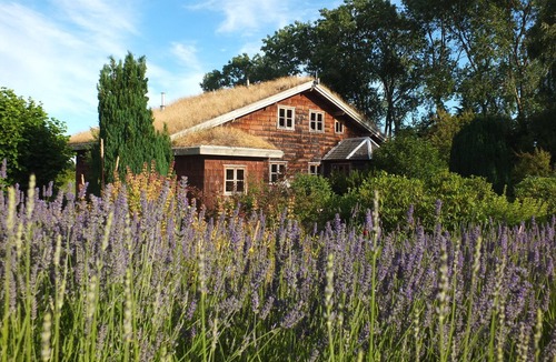 Puerto Octay Bed & Breakfast | Yellow Shoe B&B, comfortable, country Bed and Breakfast