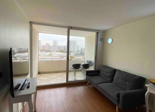 Acogedor departamento in Santiago
