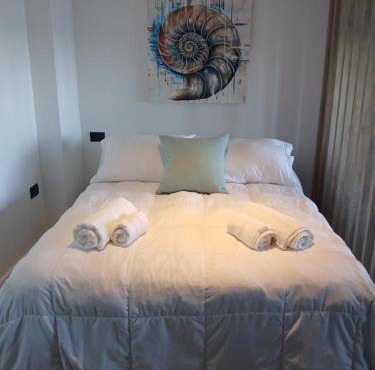 Ammonite Playa