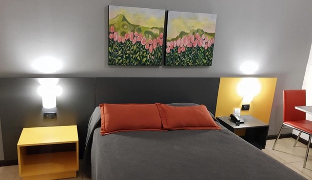Apart Hotel Alvear in Rosario