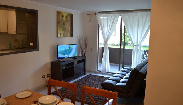 Apartamentos Alma Surire