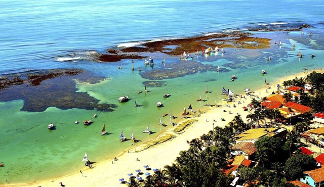 Bluette Sunglasses in Ipojuca