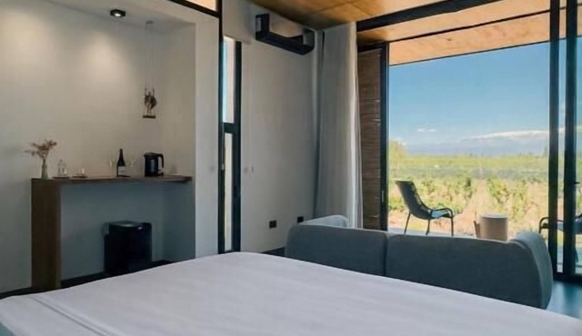Boutique Hotel Bodega CICLO ANDINO in Lujan de Cuyo