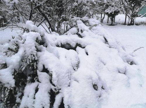 Cabaña May Pao, para 3 en Melipeuco cerca del Parque Nacional Conguillio