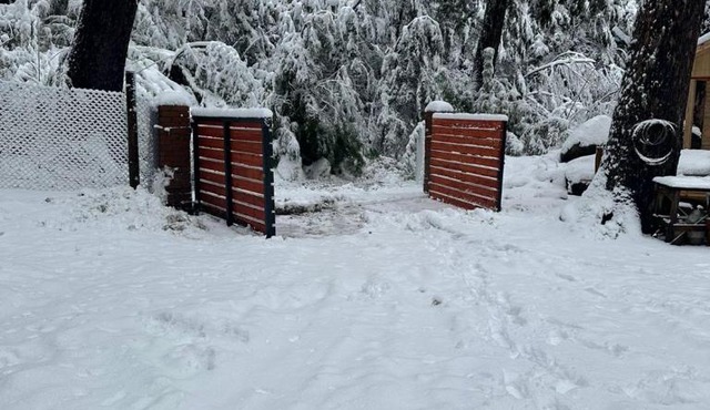 Cabañas Termas de Chillán
