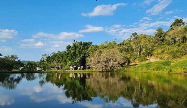 Camboas Atlantic Forest Country House in Camboriú