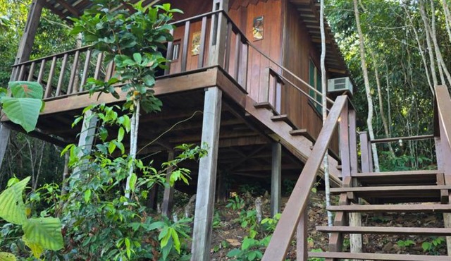 Capitão da Mata Chalet in Novo Airão