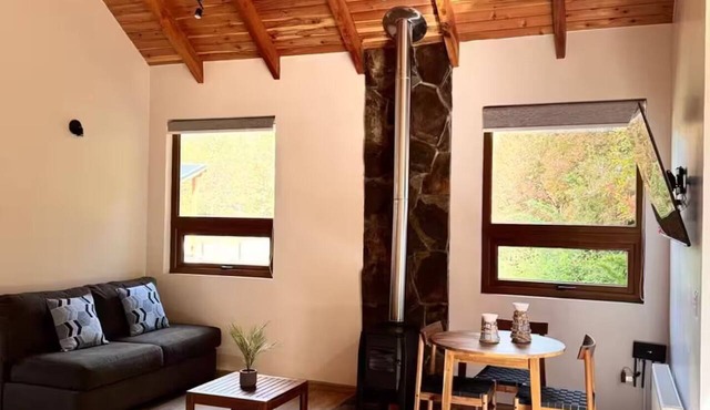 Casa Alaska, 5 km from Corralco, Hot Tub, Private Forest