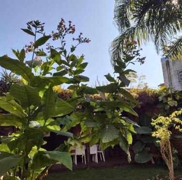 Casa San Isidro pileta jardín parrilla a metros del río
