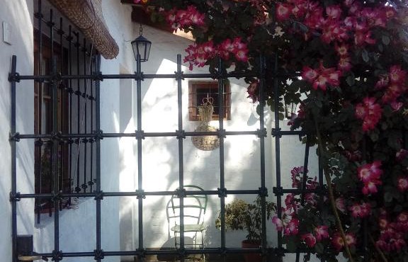 Casita de limón