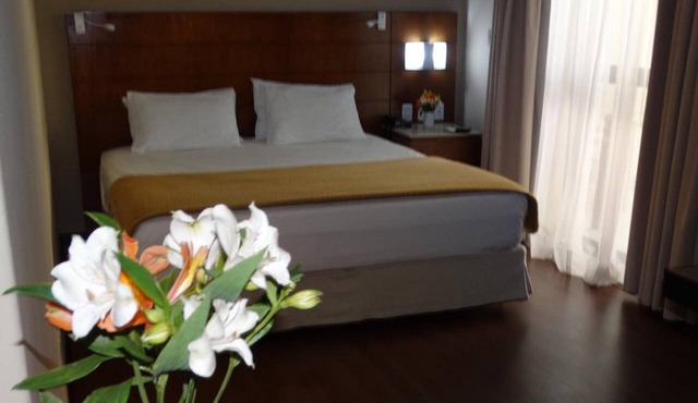 Castel Plaza Hotel in Resende