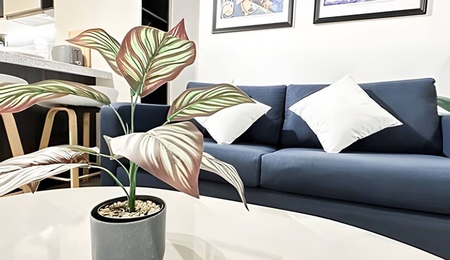 Central boutique apartment steps from Movistar|WIFI in Santiago