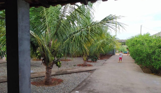 Chácara Leos, peaceful countryside setting, close to the city. in Arapiraca