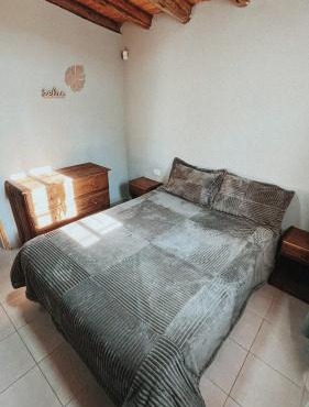 Ciruelos del Sur - San Rafael Mendoza in San Rafael