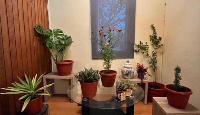Cochrane hostal in Los Ángeles