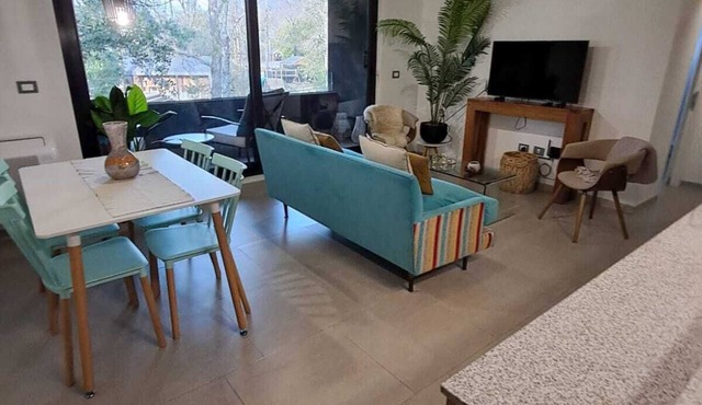 Cozy 2-bedroom apartment in serene Pucon with AC