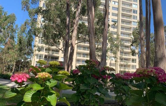 Departamento Algarrobo Los Olivos