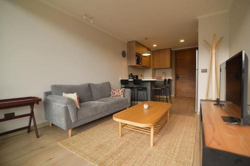 Departamento Origen Pucon