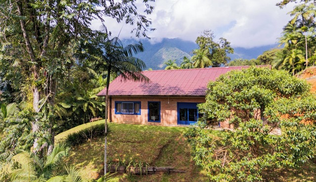 Dona Bela Farm – Forest view and barbecue area in Pirabeiraba