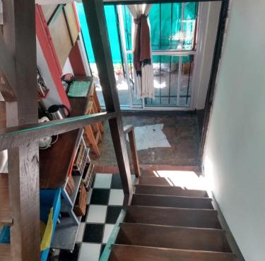 El olivo apart