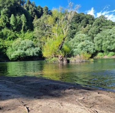El remanzo del río