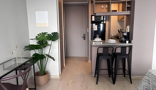 Executive Studio Metro Ecuador | WiFi & Smart TV in Santiago