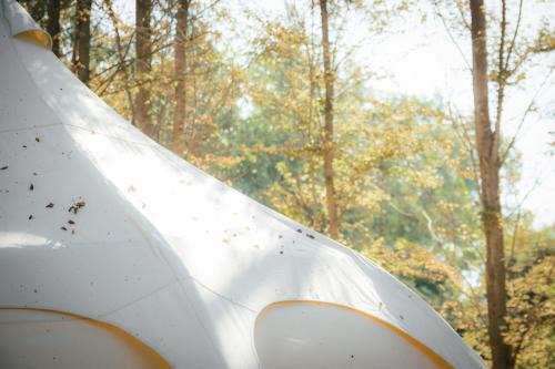 Glamping Remanso del Espíritu