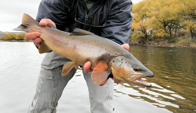 Great Views Fly Fishing Cabin Chimehuín Patagonia