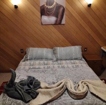 Habitación Coigue