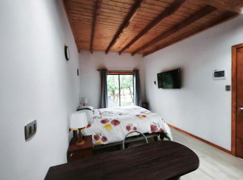 Hermosa cabaña Pucon Caburga 2