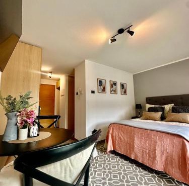 Hermoso Estudio in Concepción