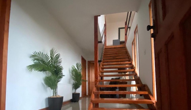 Hostal Ejecutivo