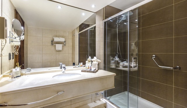 Hotel Plaza El Bosque Ebro