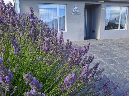 La Casa de Marite Apart, un lugar para disfrutar