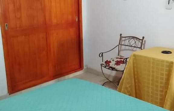 Las orquídeas
