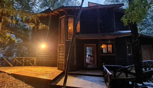 Mágica Casa Enclavada en el Corazón del Bosque