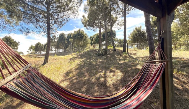 Meliades" Cottage | Forest & Calmness | MRI - UADE I Ayres del Bosque Accommodations