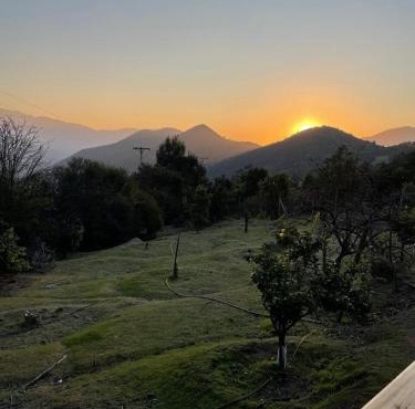 Oasis in the mountain, Quebrada Alvarado, Olmué