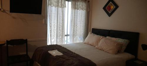 palmeras swett home
