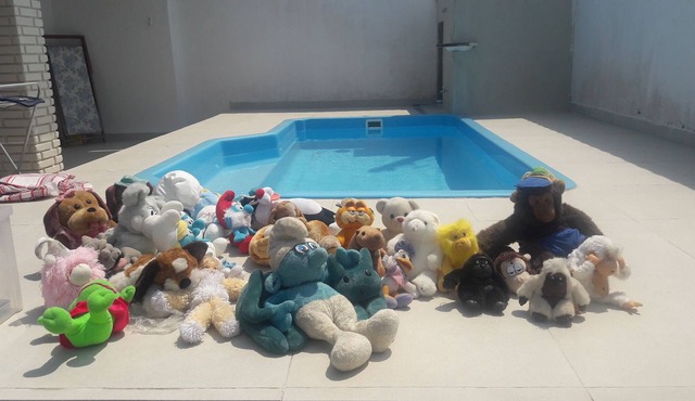 Pool and Barbecue! in Peruíbe