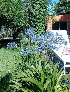 Posta Batata in Paraná
