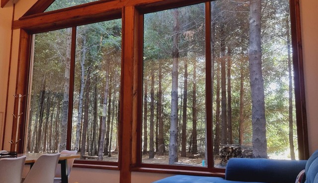 Premium Cabin in Malalcahuello Near Corralco Ski Resort
