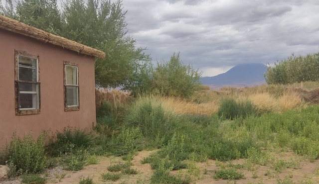 Tiny house container for stargazing; rental car optional, by artist @Paz_Sarrat,